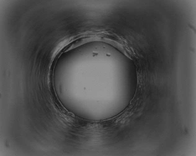 X0000096940340200802291038