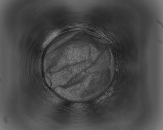 X0000096940341200802291038