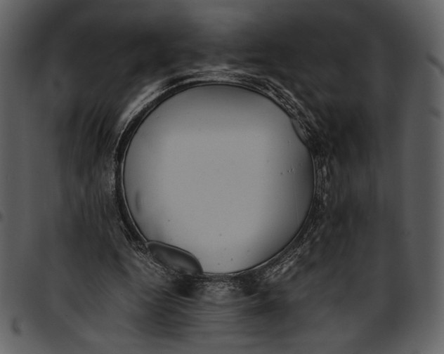 X0000096940344200802291038