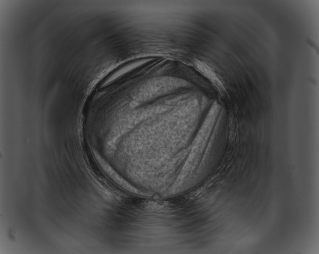 X0000096940346200802291038