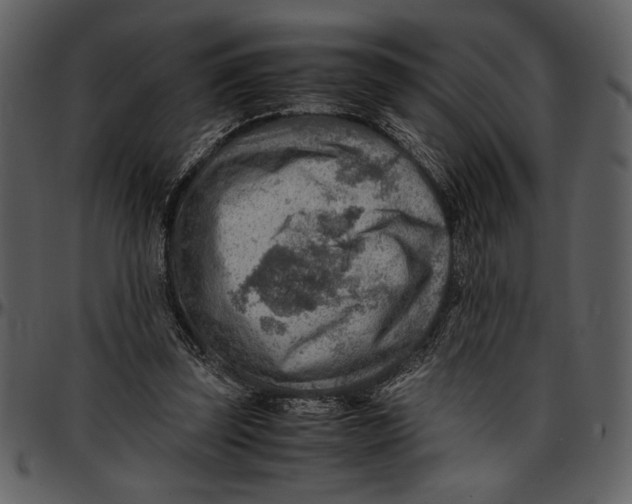 X0000096940347200802291038