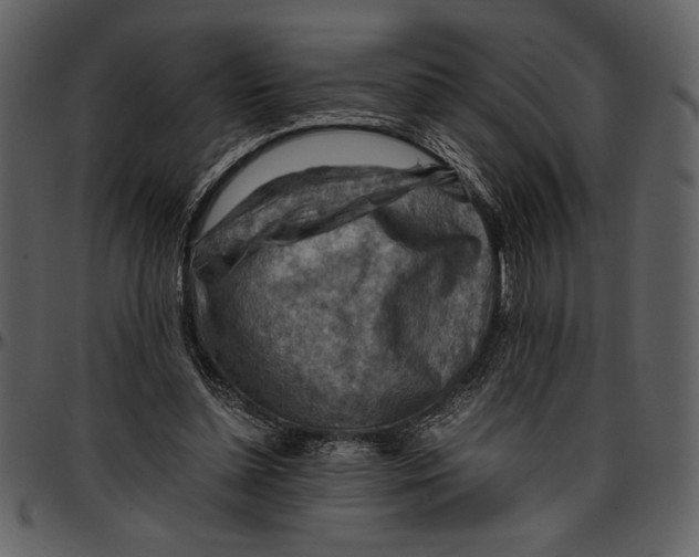 X0000096940348200802291038