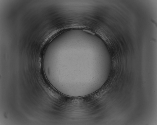 X0000096940350200802291038