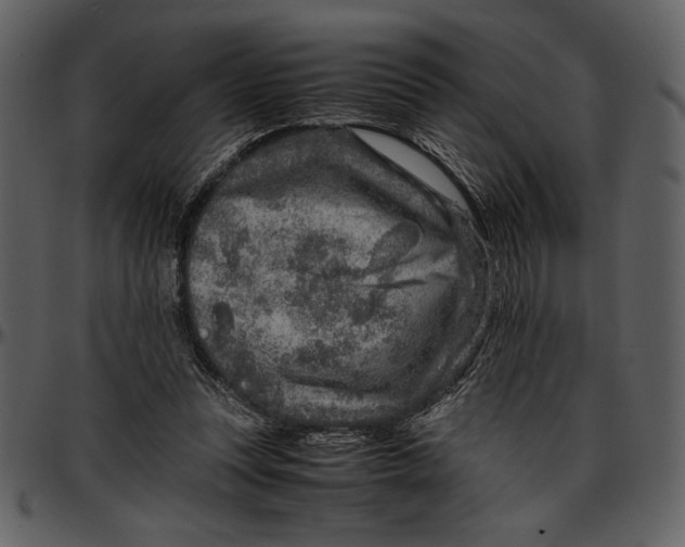 X0000096940351200802291038