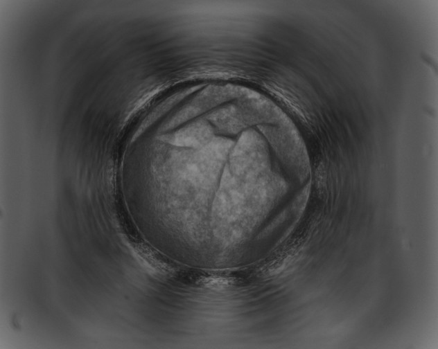 X0000096940352200802291038