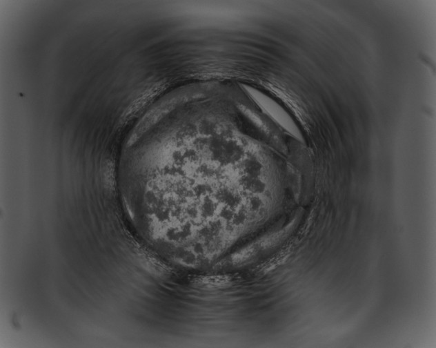 X0000096940353200802291038