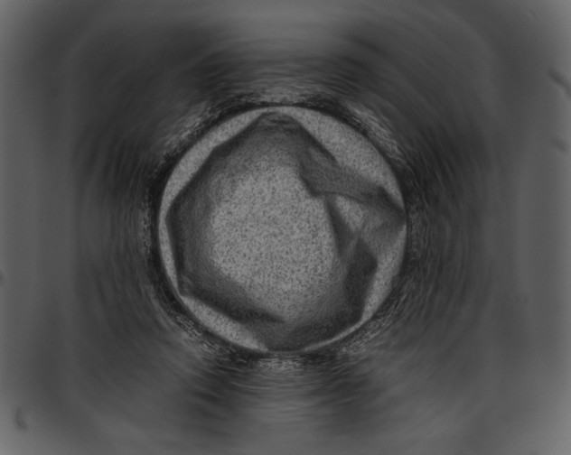 X0000096940354200802291038