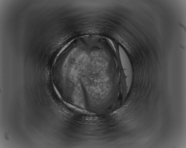 X0000096940355200802291038