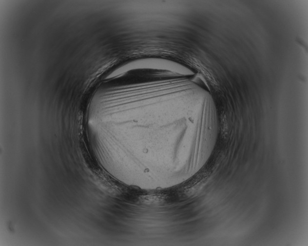 X0000096940356200802291038