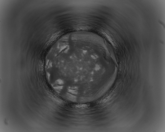 X0000096940357200802291038