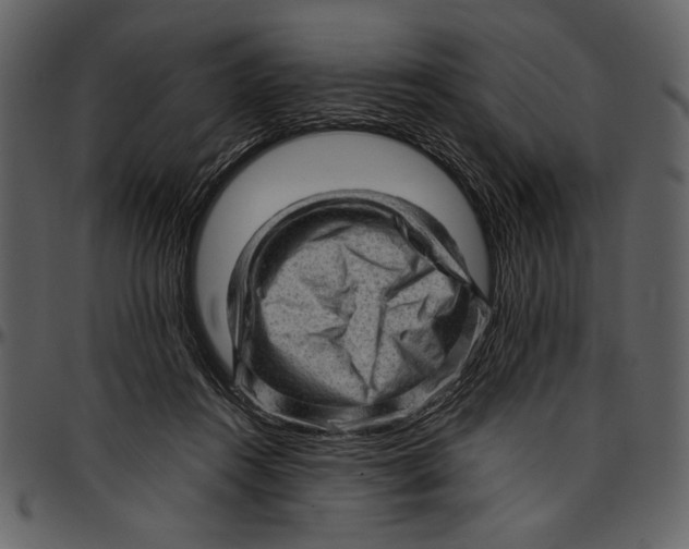 X0000096940360200802291038