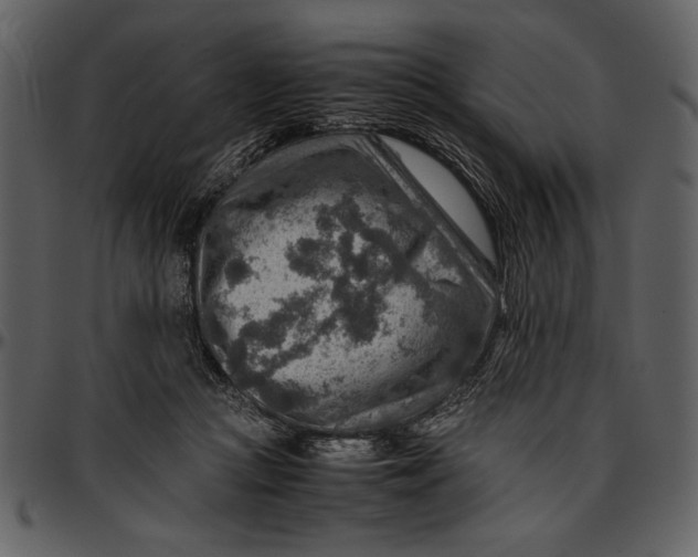 X0000096940361200802291039