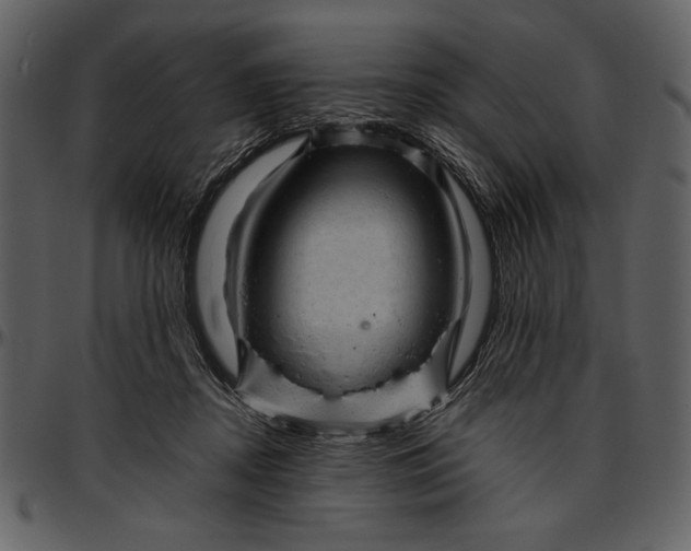 X0000096940362200802291039