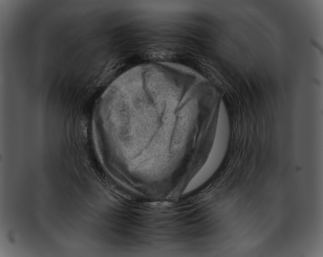 X0000096940363200802291039