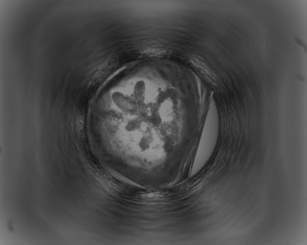 X0000096940365200802291039