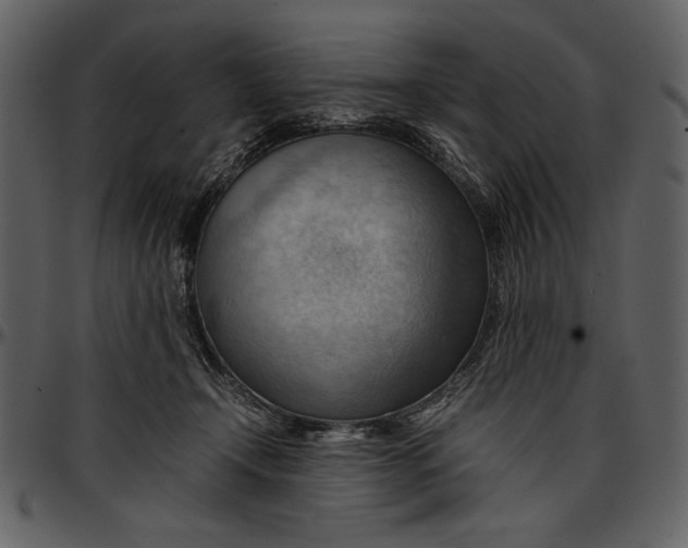 X0000096940366200802291039