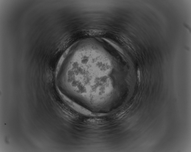 X0000096940367200802291039