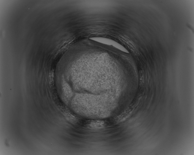 X0000096940369200802291039