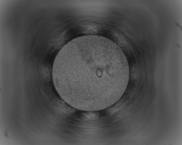 X0000096940370200802291039