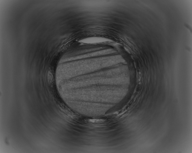 X0000096940371200802291039