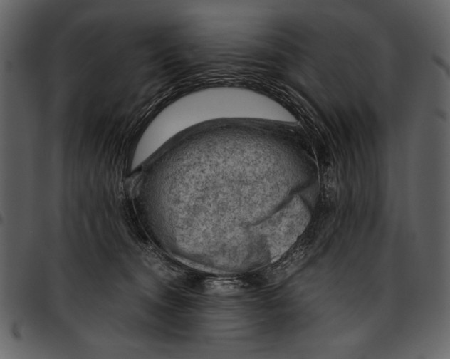 X0000096940372200802291039