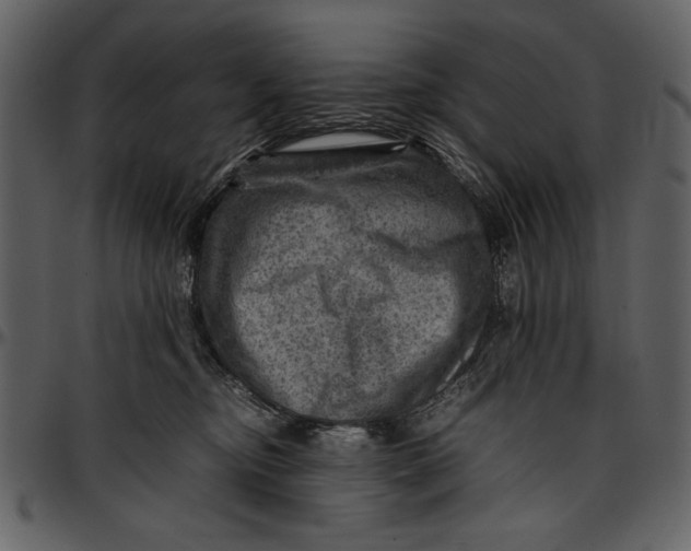 X0000096940374200802291039