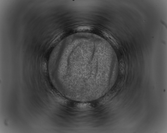 X0000096940375200802291039