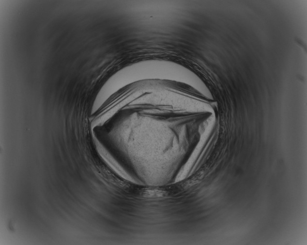 X0000096940376200802291039