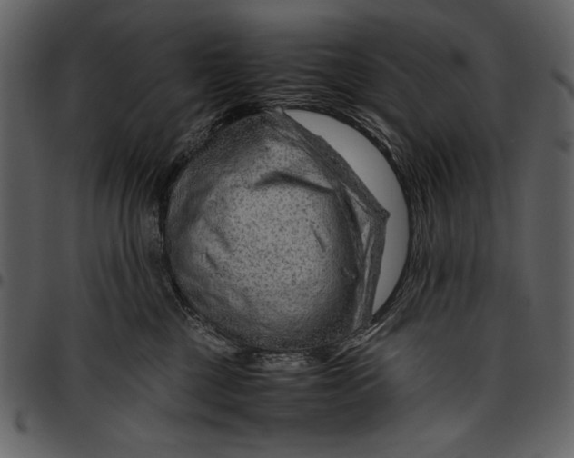 X0000096940377200802291039