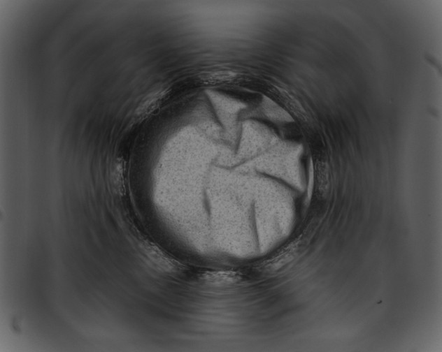 X0000096940378200802291039