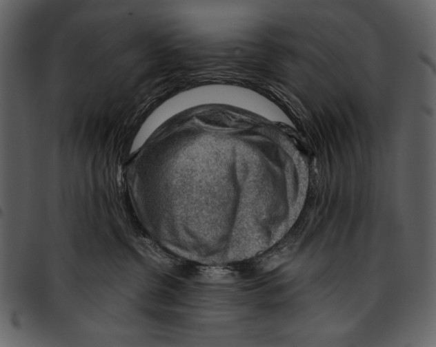 X0000096940380200802291039