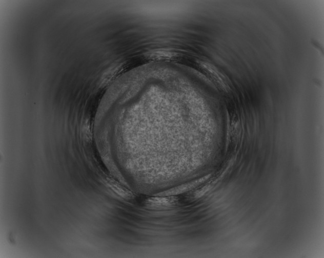 X0000096940381200802291039