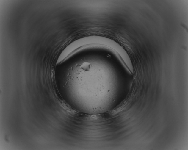 X0000096940382200802291039