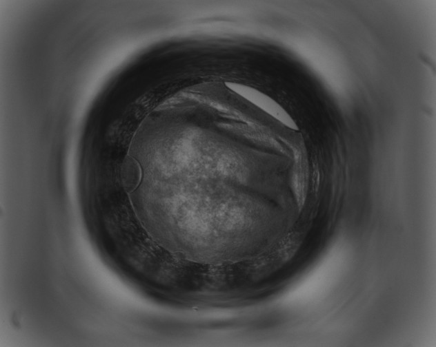 X0000096940383200802291039