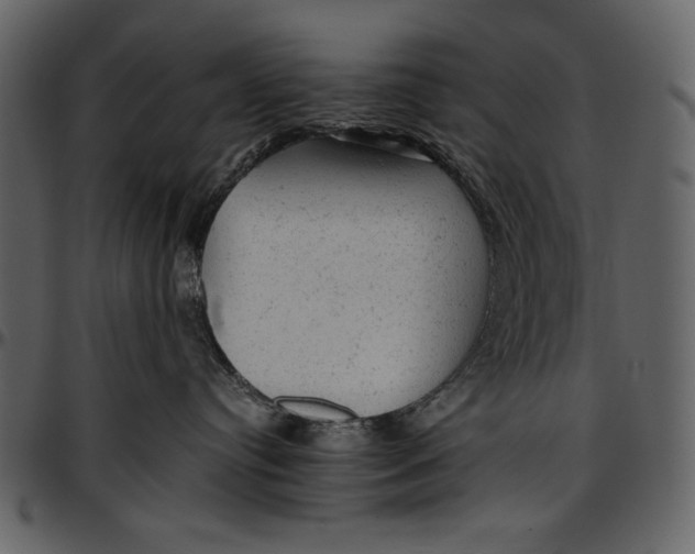 X0000096940384200802291039