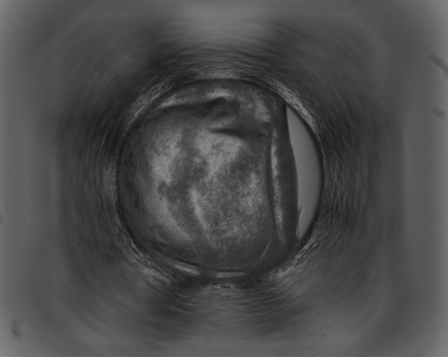 X0000096940386200802291038