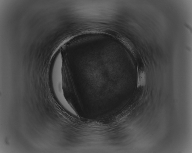 X0000096940387200802291038