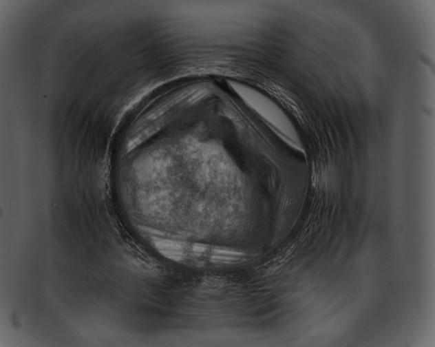 X0000096940388200802291038