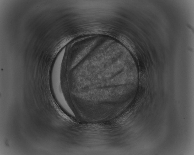 X0000096940389200802291038