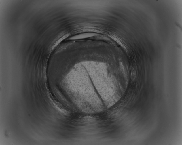 X0000096940390200802291038