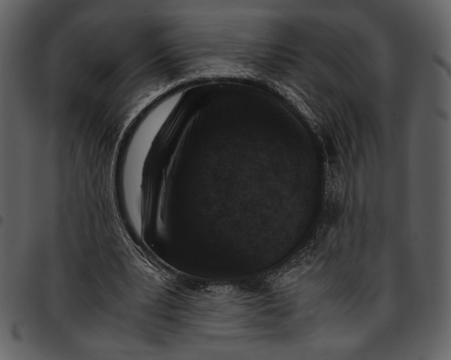 X0000096940391200802291038