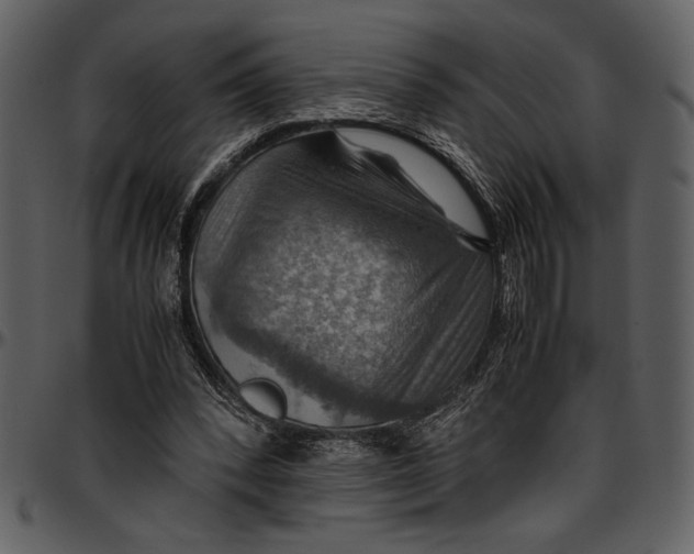 X0000096940392200802291038