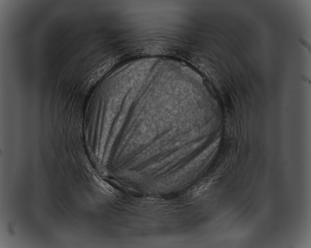 X0000096940393200802291038