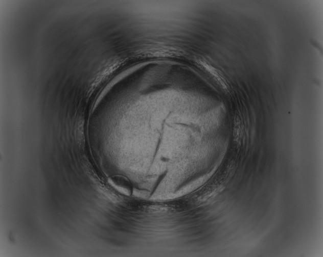 X0000096940394200802291038