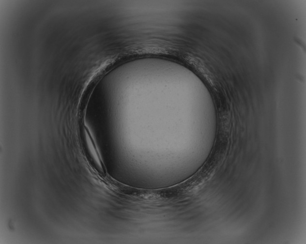 X0000096940395200802291038