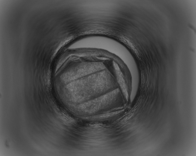 X0000096940396200802291038