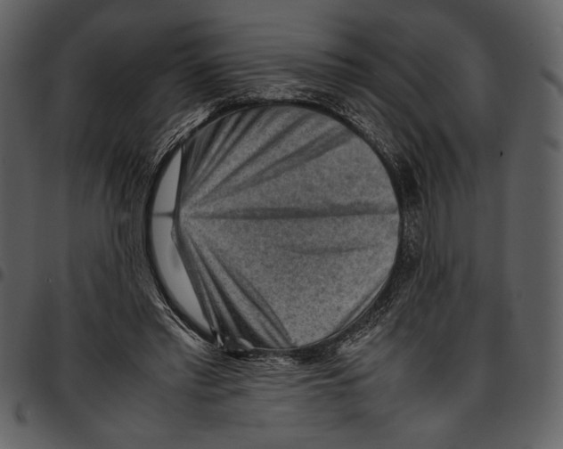 X0000096940397200802291038