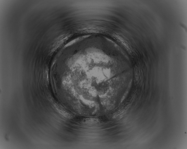 X0000096940398200802291038