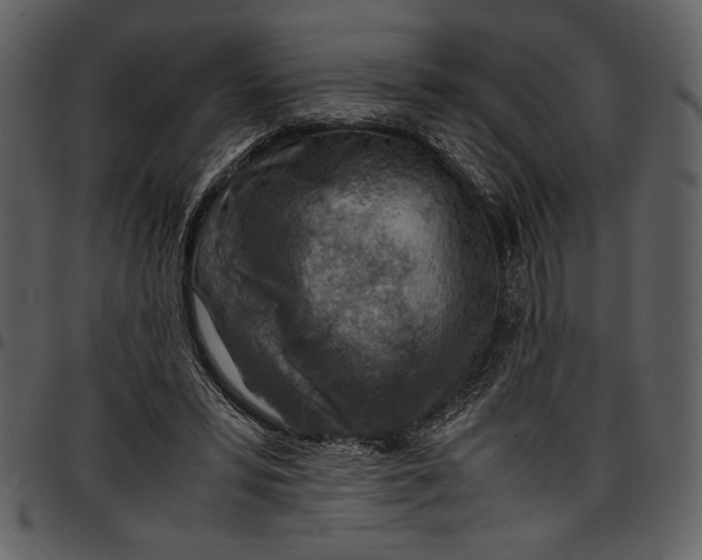 X0000096940399200802291038