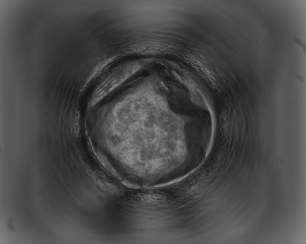 X0000096940400200802291038